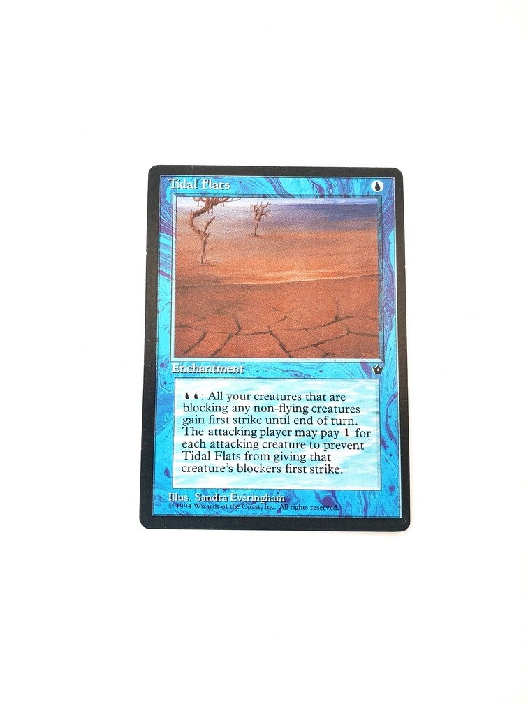 Tidal Flats (Everingham)