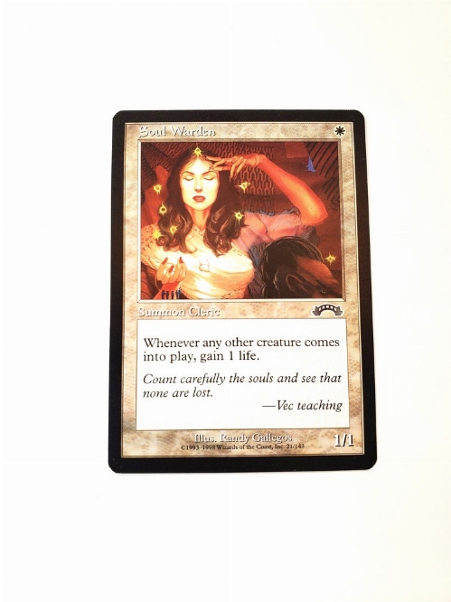 Soul Warden