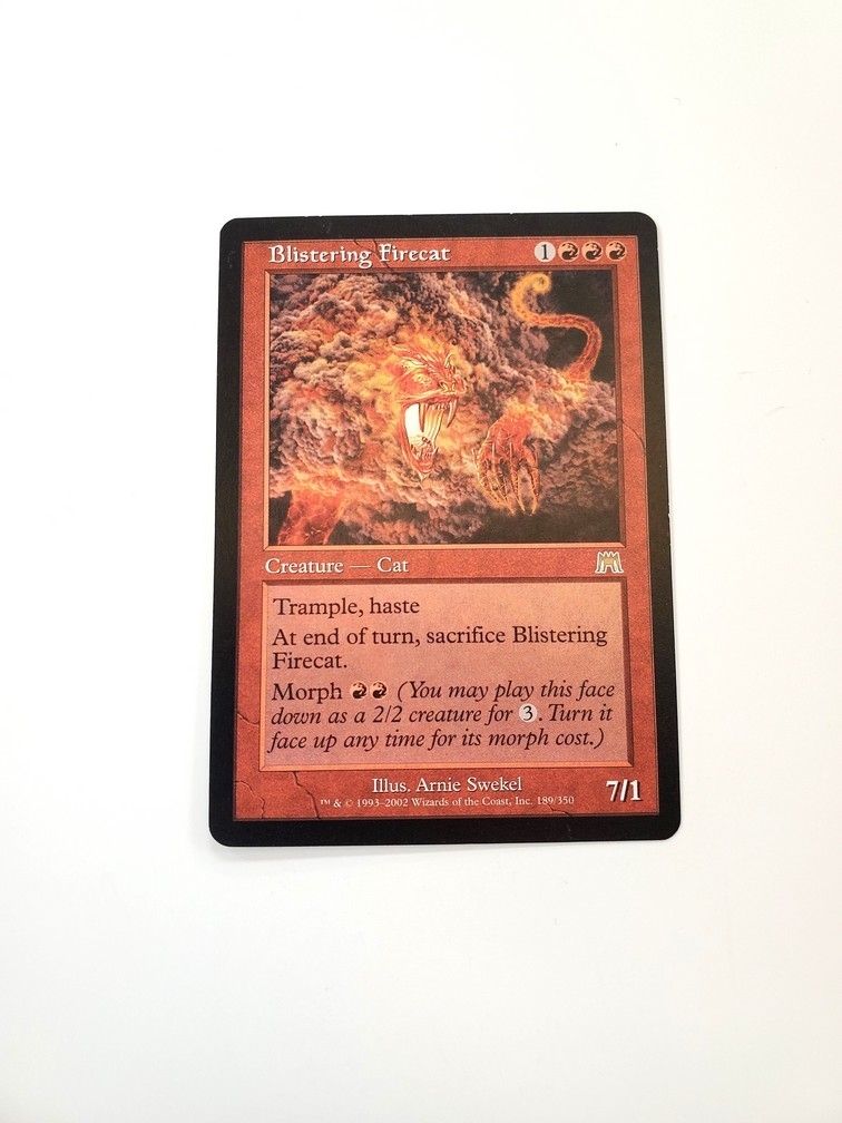 Blistering Firecat