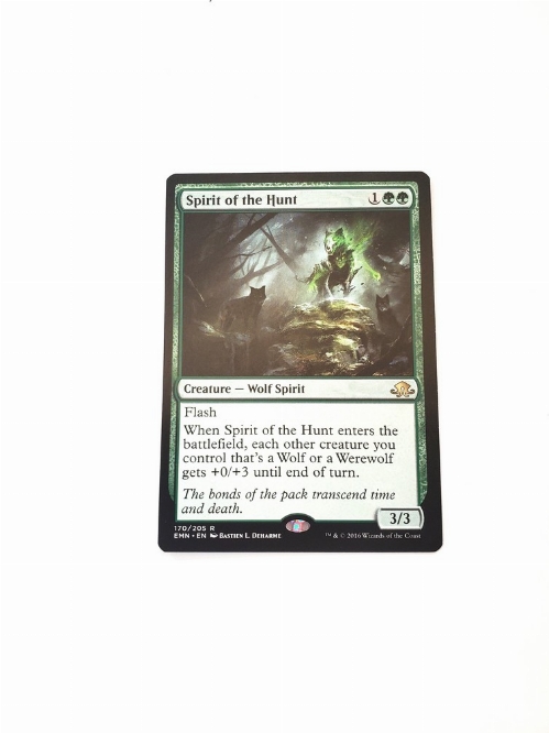Spirit of the Hunt