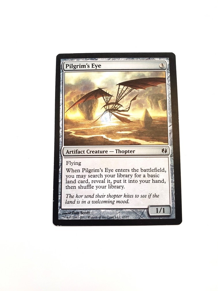 Pilgrim's Eye