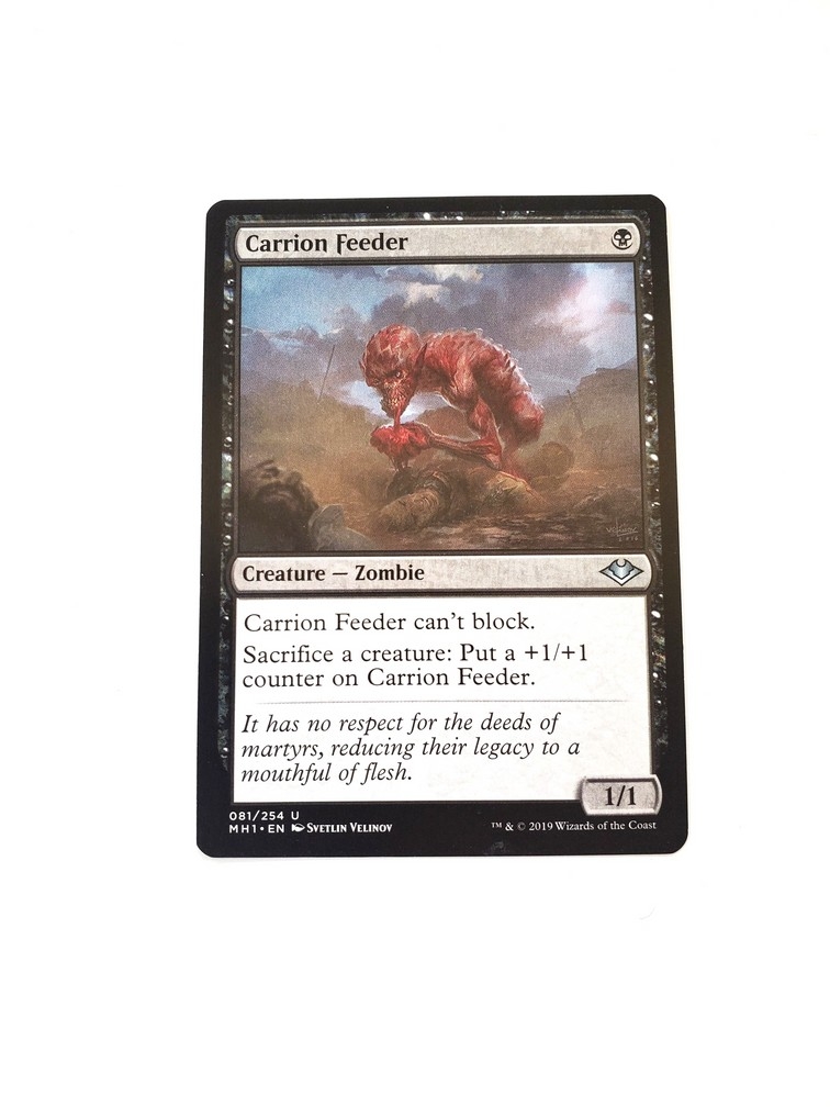 Carrion Feeder