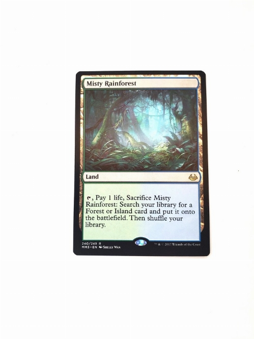 Misty Rainforest