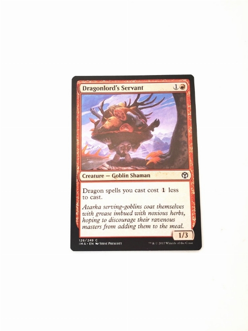 Dragonlord's Servant