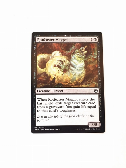 Rotfeaster Maggot