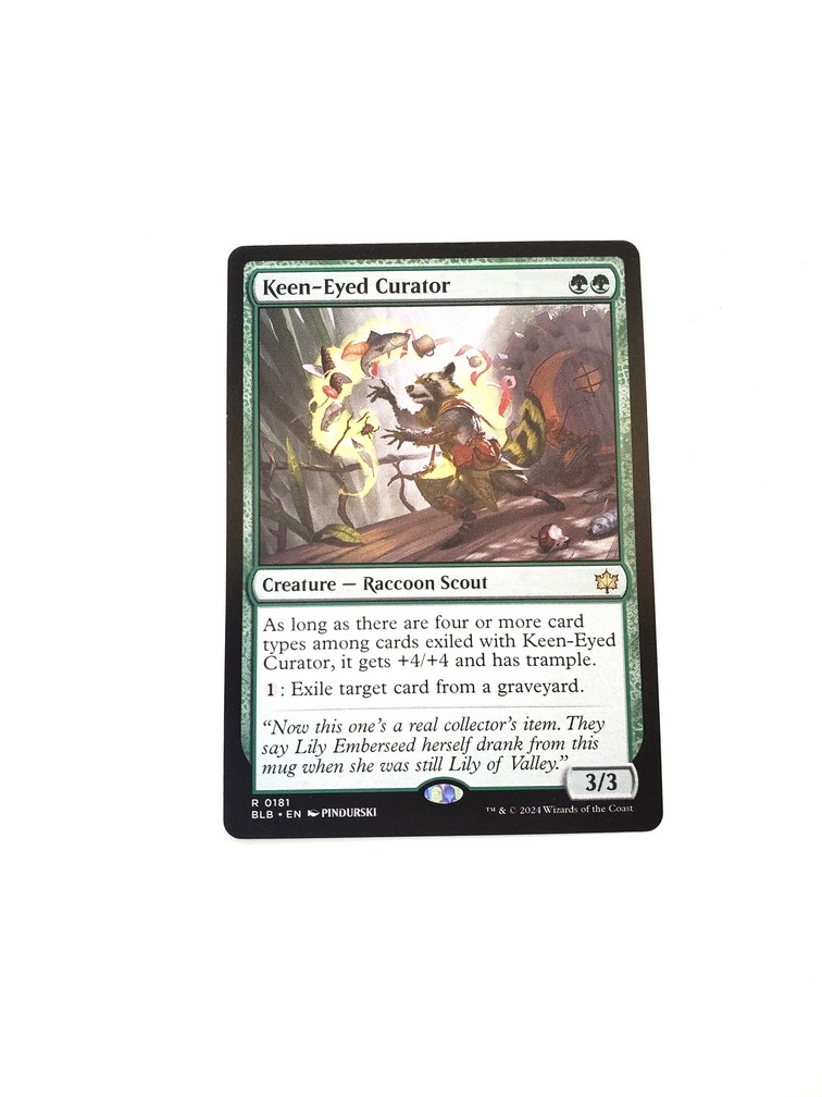 Keen-Eyed Curator