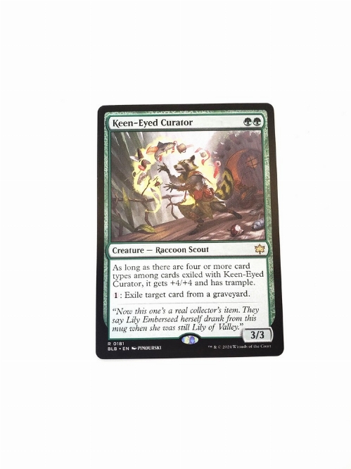 Keen-Eyed Curator