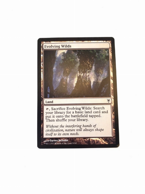 Evolving Wilds