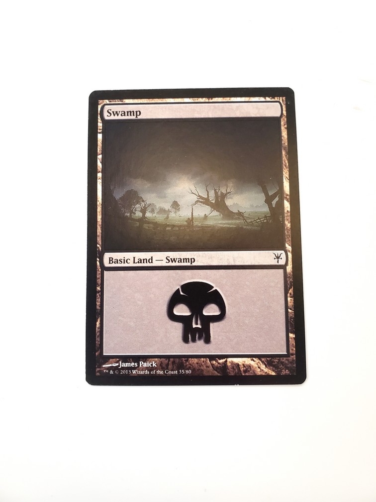 Swamp (35)