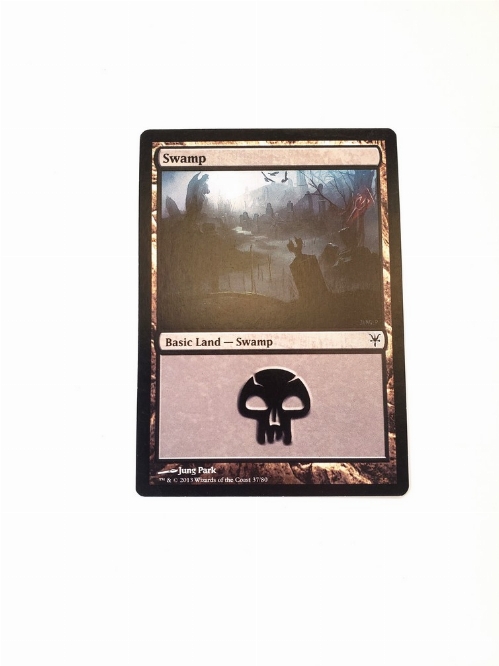 Swamp (37)
