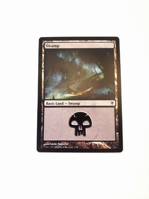 Swamp (36)