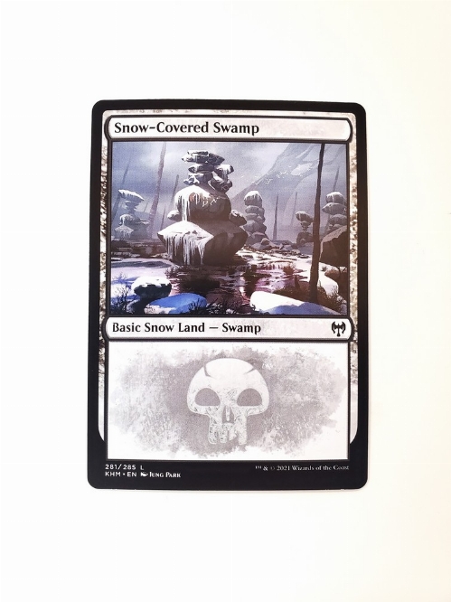 Snow-Covered Swamp (281)