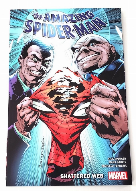 Amazing Spider-Man, The - Shattered Web (Vol.12) (Anglais)