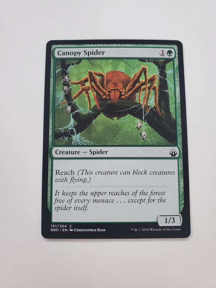 Canopy Spider