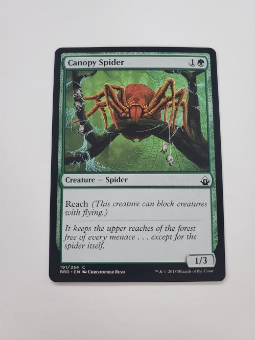 Canopy Spider