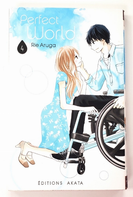 Perfect World (Vol.4) (Francais)