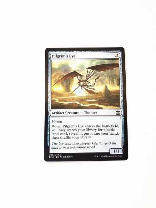 Pilgrim's Eye