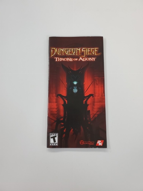 Dungeon Siege: Throne of Agony (I)