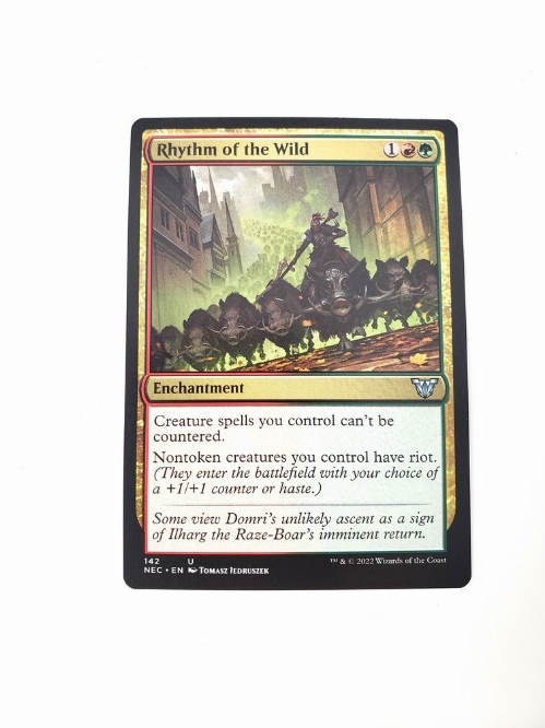 Rhythm of the Wild