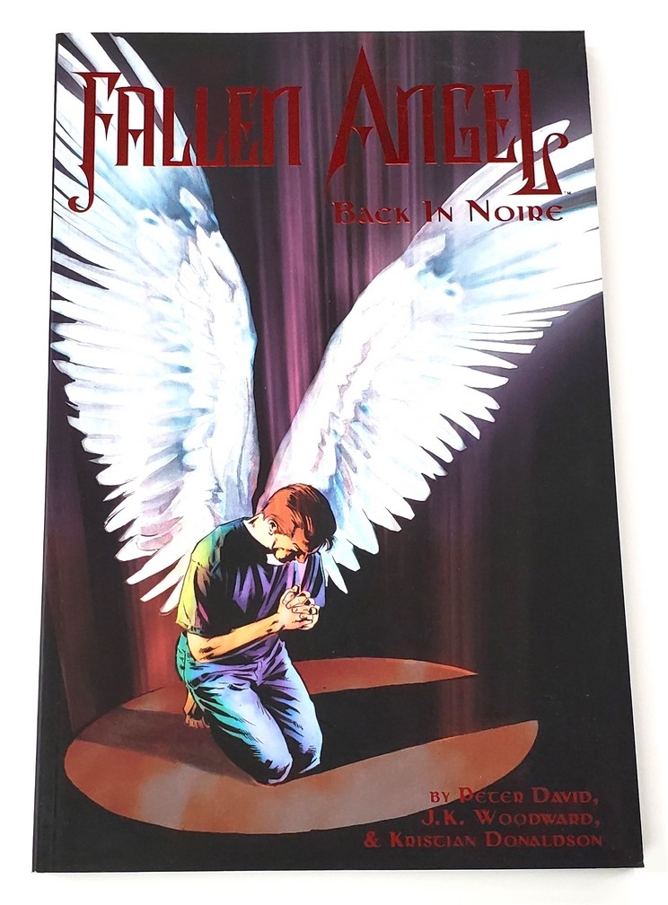 Fallen Angel: Back in Noire (Vol.3) (Anglais)