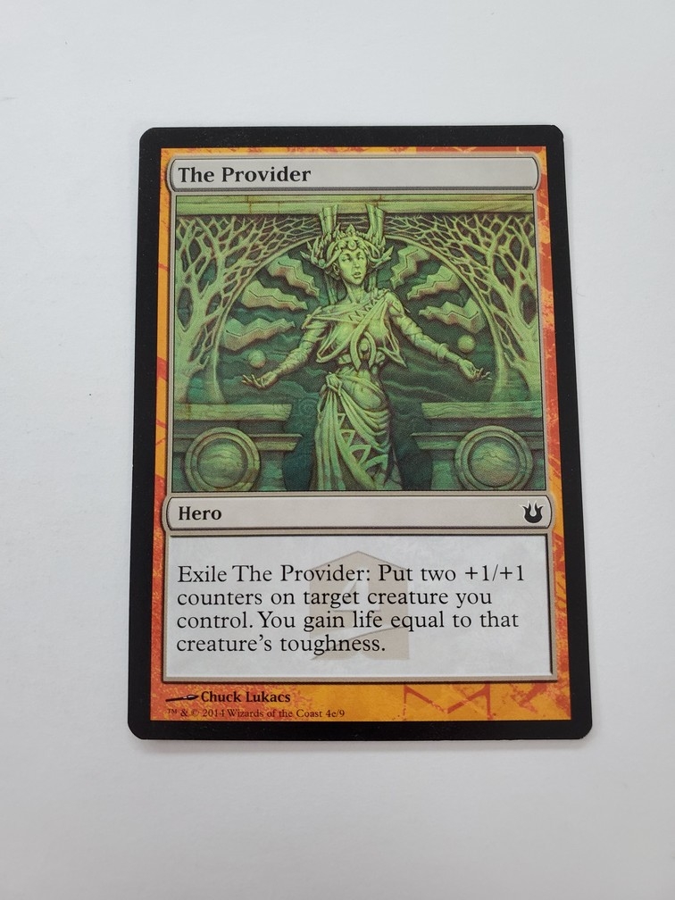 The Provider