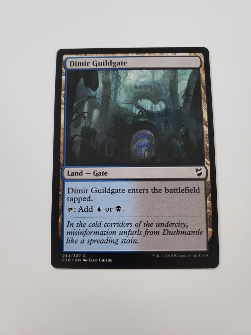 Dimir Guildgate