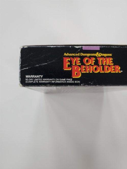 Advanced Dungeons & Dragons: Eye of the Beholder (CIB)