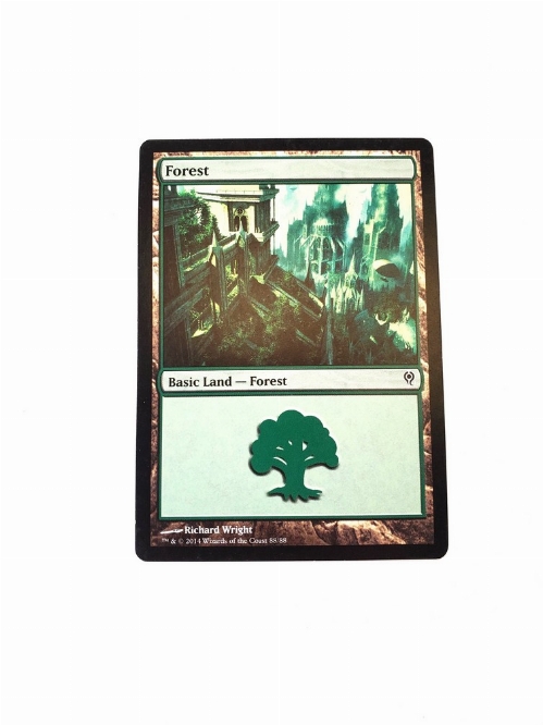 Forest (88)