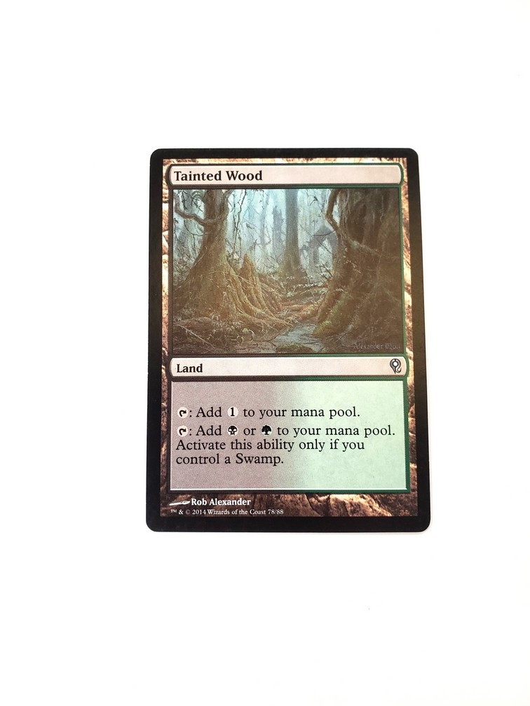 Tainted Wood