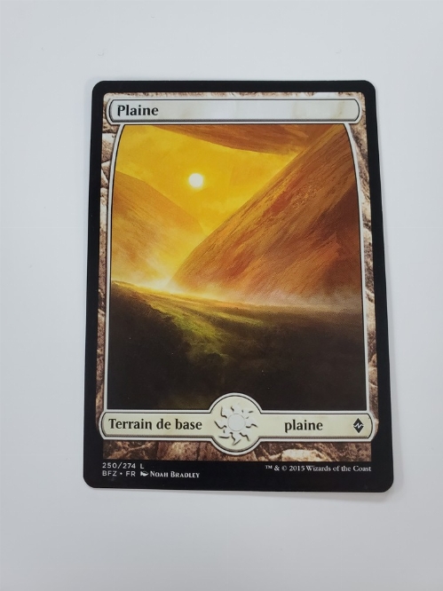 Plains (250) - Full Art (Francaise)