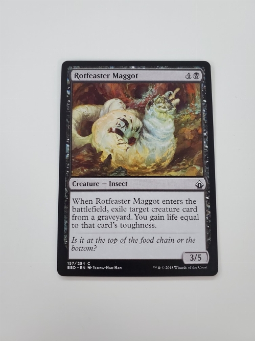 Rotfeaster Maggot