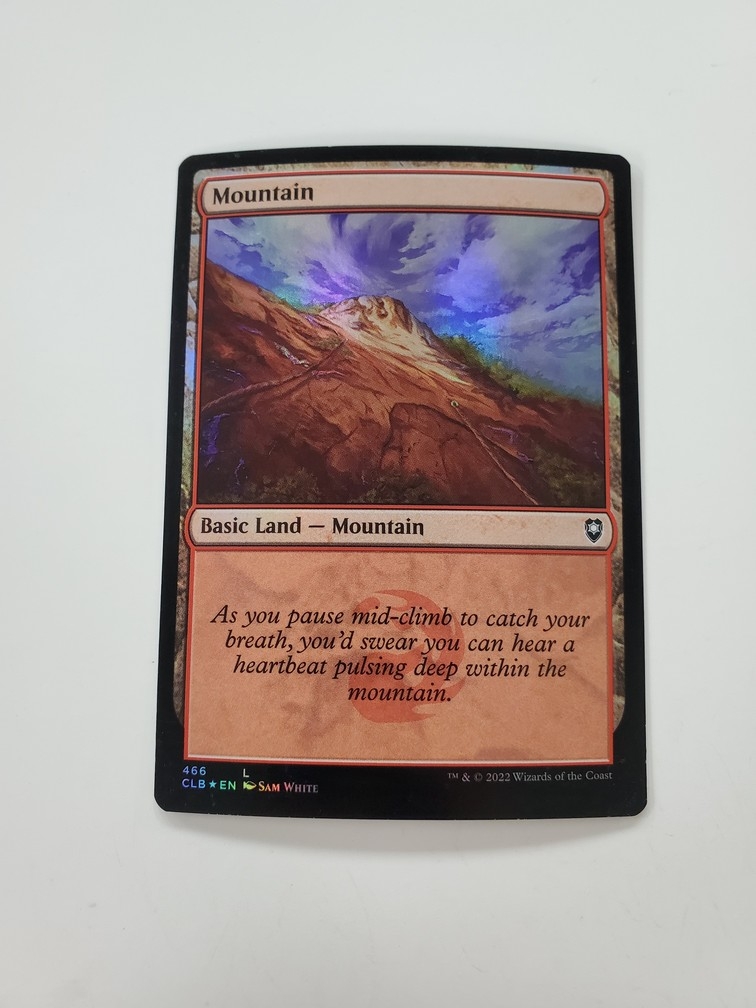 Mountain (466) (Foil)