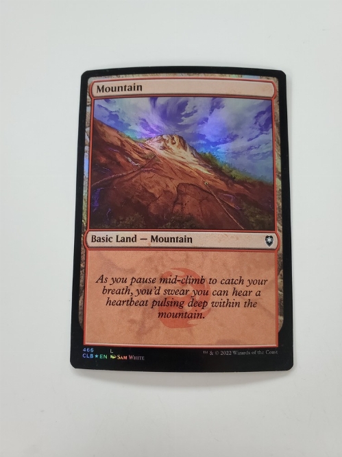 Mountain (466) (Foil)