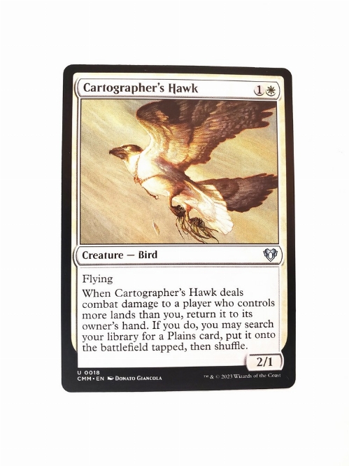 Cartographer's Hawk