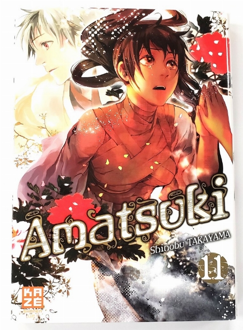 Amatsuki (Vol.11) (Francais)