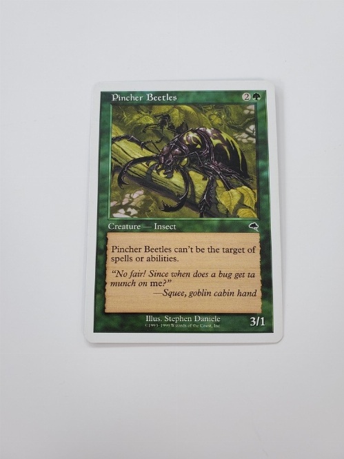 Pincher Beetles