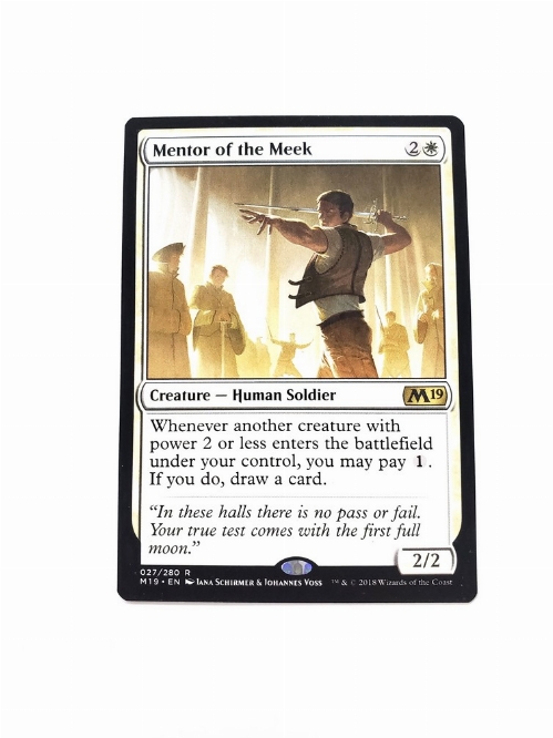 Mentor of the Meek