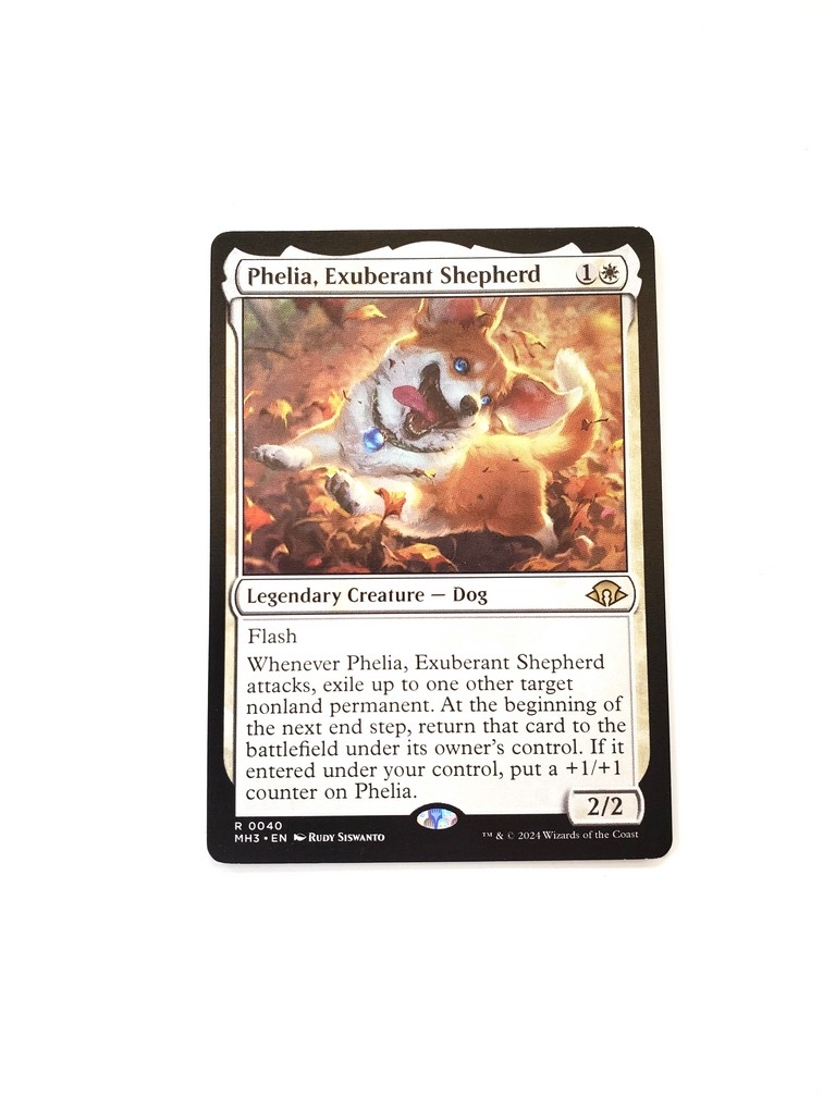 Phelia, Exuberant Shepherd