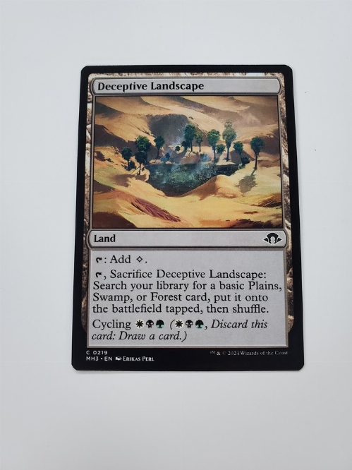 Deceptive Landscape