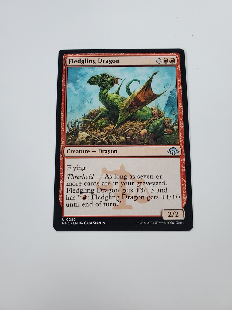 Fledgling Dragon