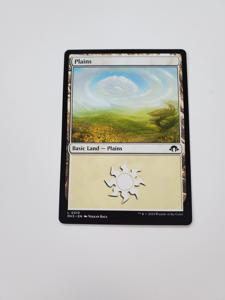 Plains (0310)