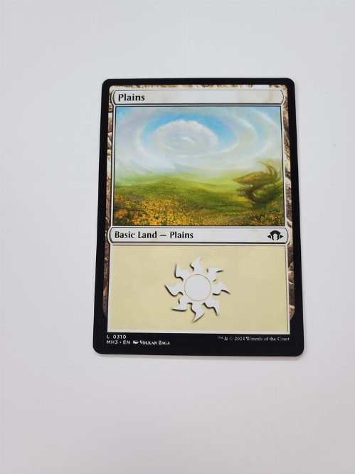 Plains (0310)