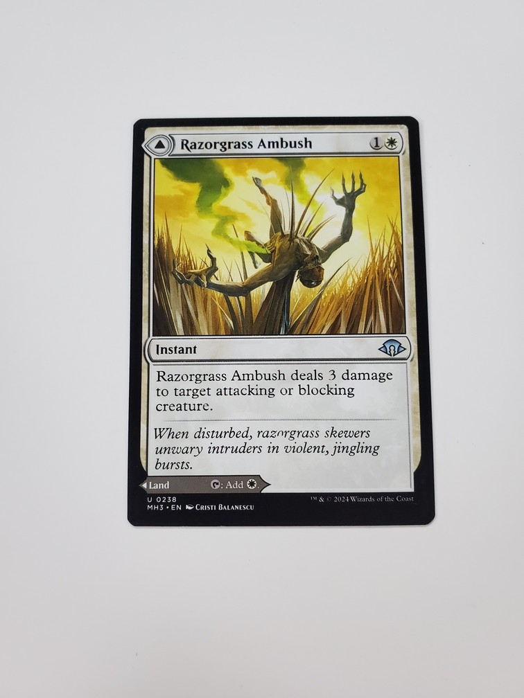 Razorgrass Ambush // Razorgrass Field