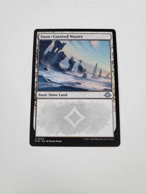 Snow-Covered Wastes (0229)