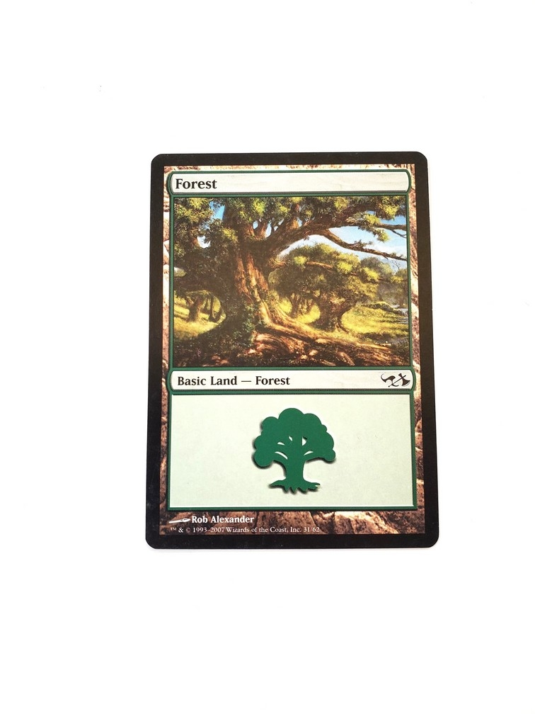 Forest (31)