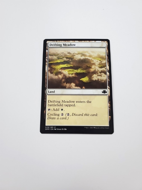 Drifting Meadow