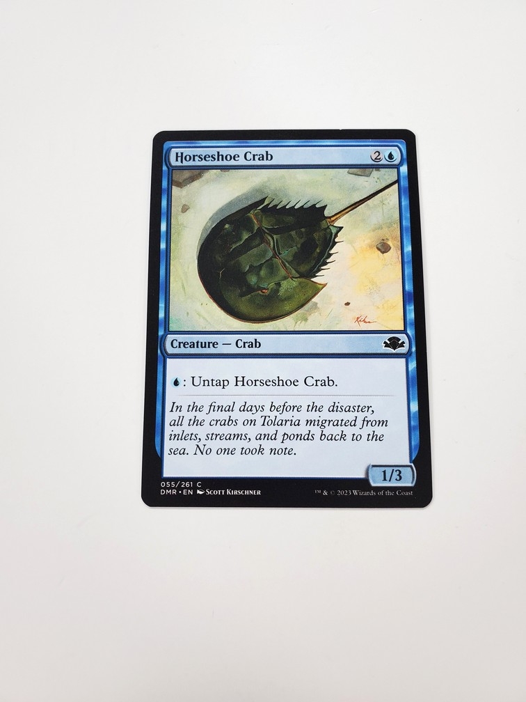Horseshoe Crab