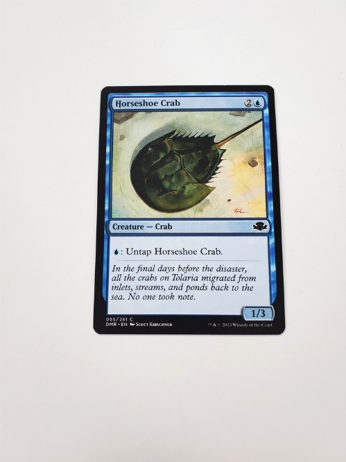 Horseshoe Crab