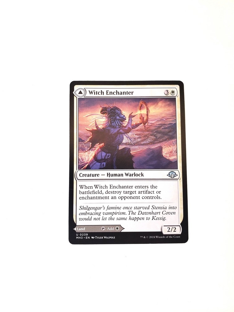 Witch Enchanter // Witch-Blessed Meadow