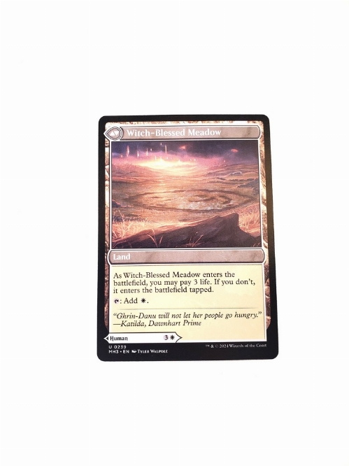 Witch Enchanter // Witch-Blessed Meadow